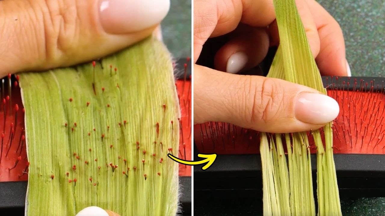 Simple Ways and Smart Gadgets That Help You Cut Veggies and Fruits Like a PRO