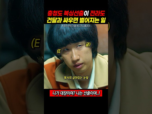 충청도 복싱선출이 전라도 건달과 싸우면 벌어지는 일 #파인촌뜨기들 #디즈니플러스 #류승룡 #양세종 #임수정