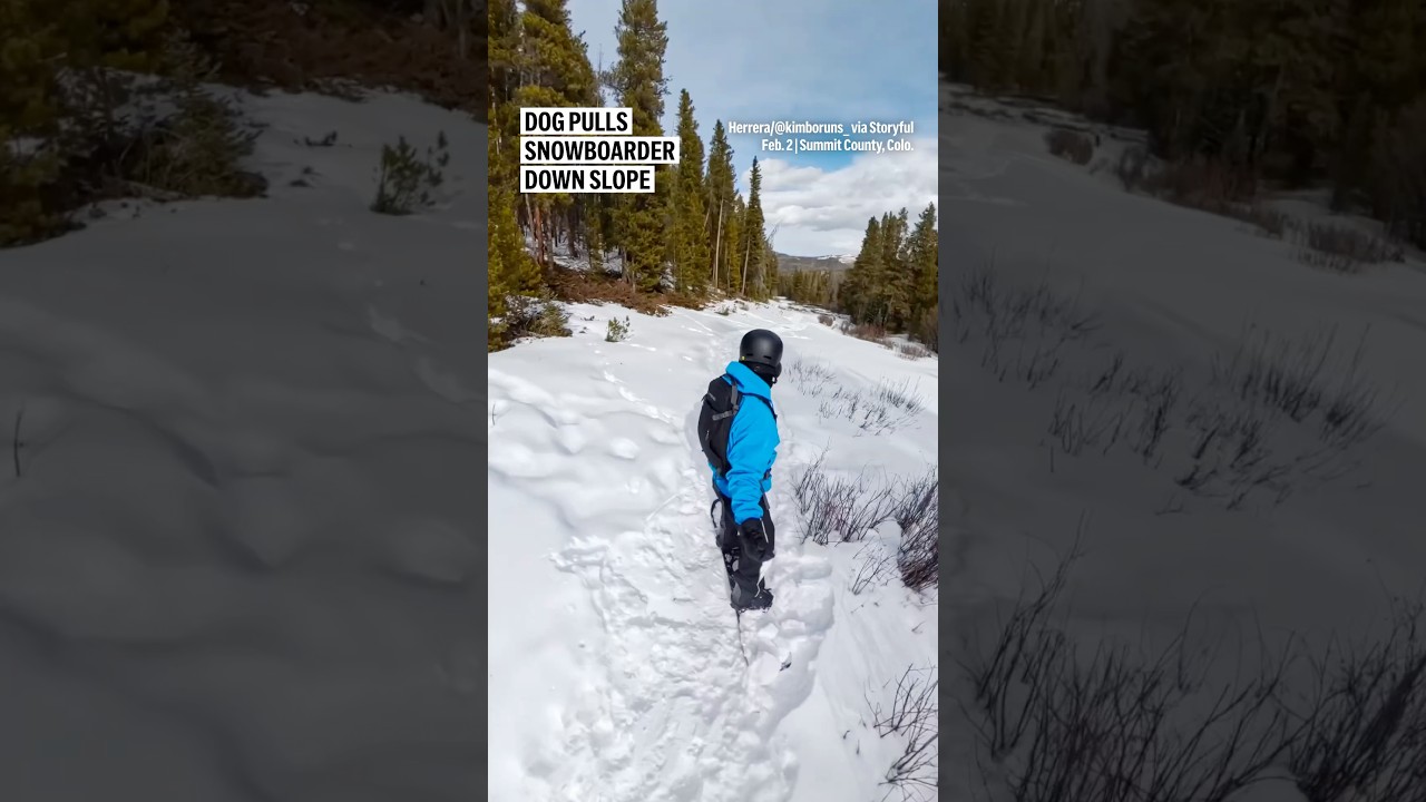 Dog pulls snowboarder down slope