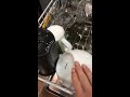 Посудомоечная машина Miele G1022