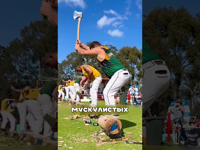 Дагестанец обхитрил американских лесорубов 😎🇺🇸🪓