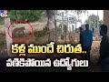 Leopard spotted roaming near electricity substation in Kamareddy