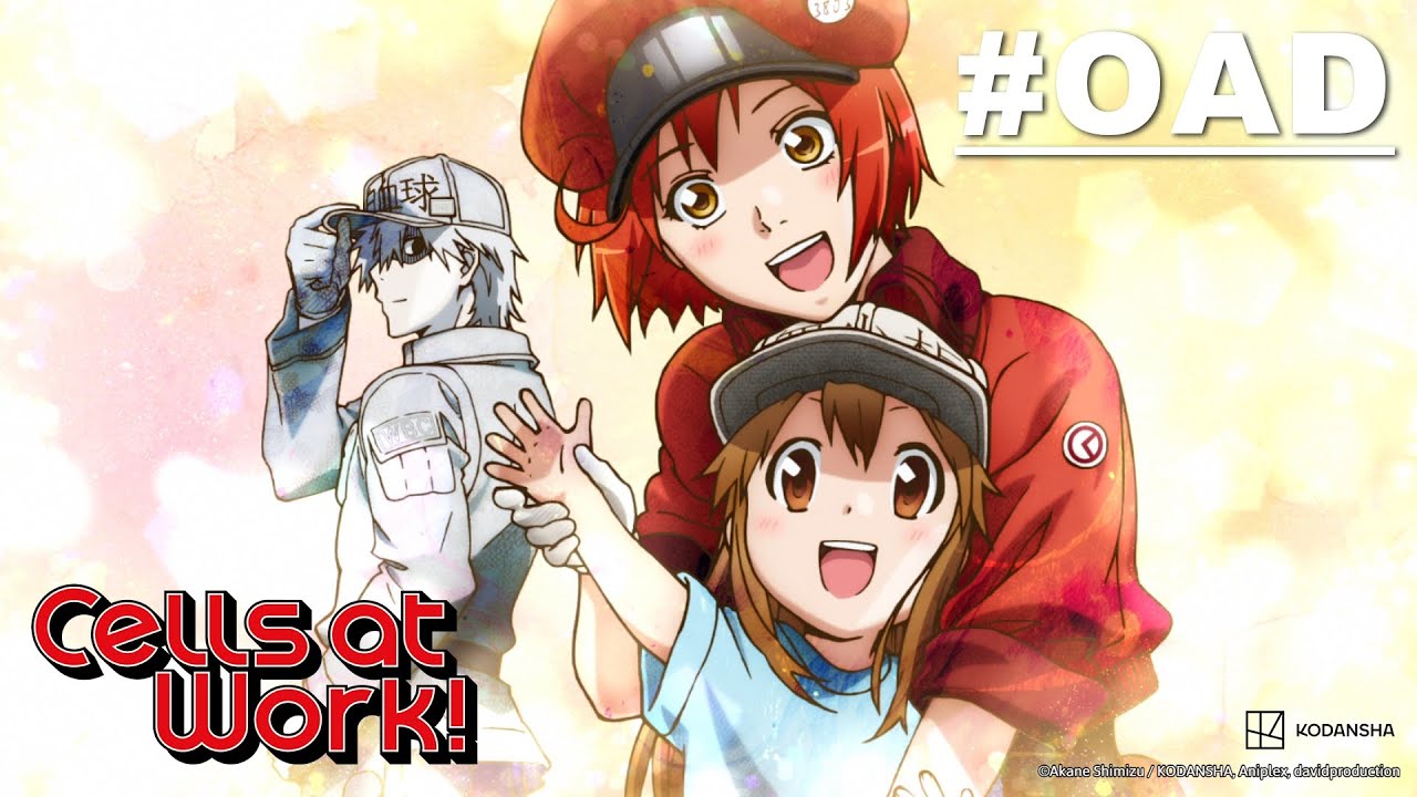Cells at Work! (Hataraku Saibou) - Episode OAD [Takarir Indonesia]