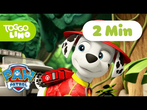 PAW Patrol Deutsch | Die Stinkblasen | Helfer auf vier Pfoten | Toggolino Serien