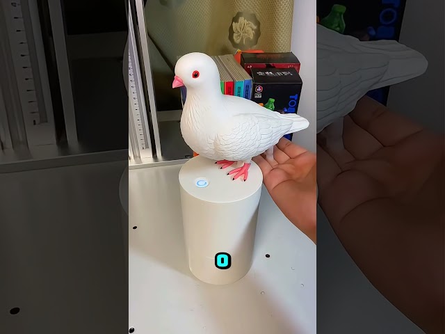 O güvercini bu evde istemiyorum! 🕊️🚫