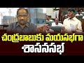 YSRCP Strategy For Chandrababu In Assembly-  Prof K Nageshwar