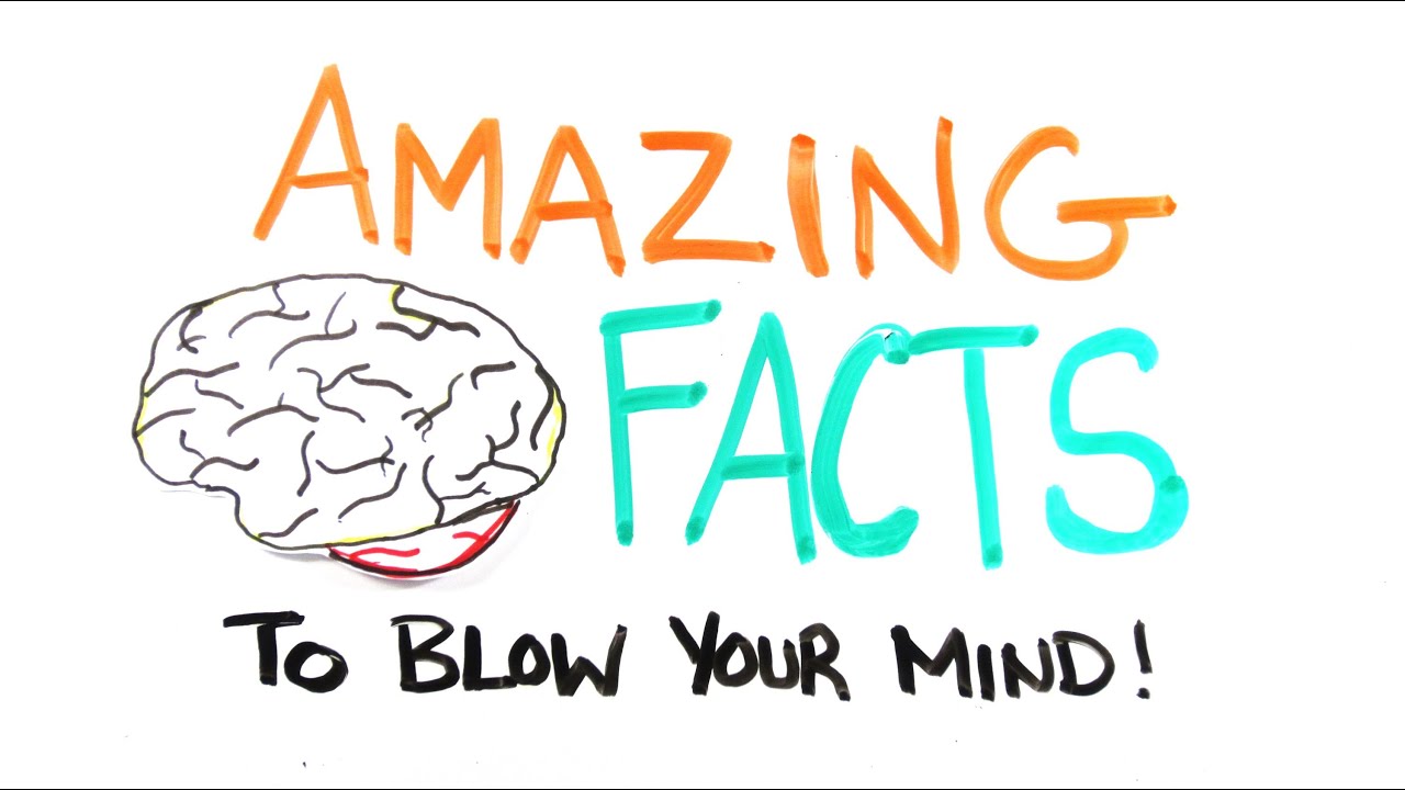 Amazing Facts To Blow Your Mind Pt 2 Youtube