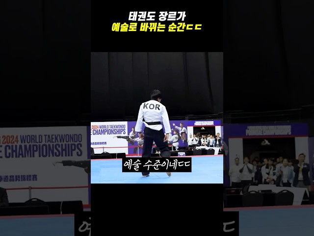 태권도 장르가 예술로 바뀌는 순간ㄷㄷ