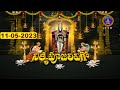శ్రీవారి నిత్యపూజలివిగో || Srivari Nitya Poojalivigo || 11-05-2023 || SVBC TTD