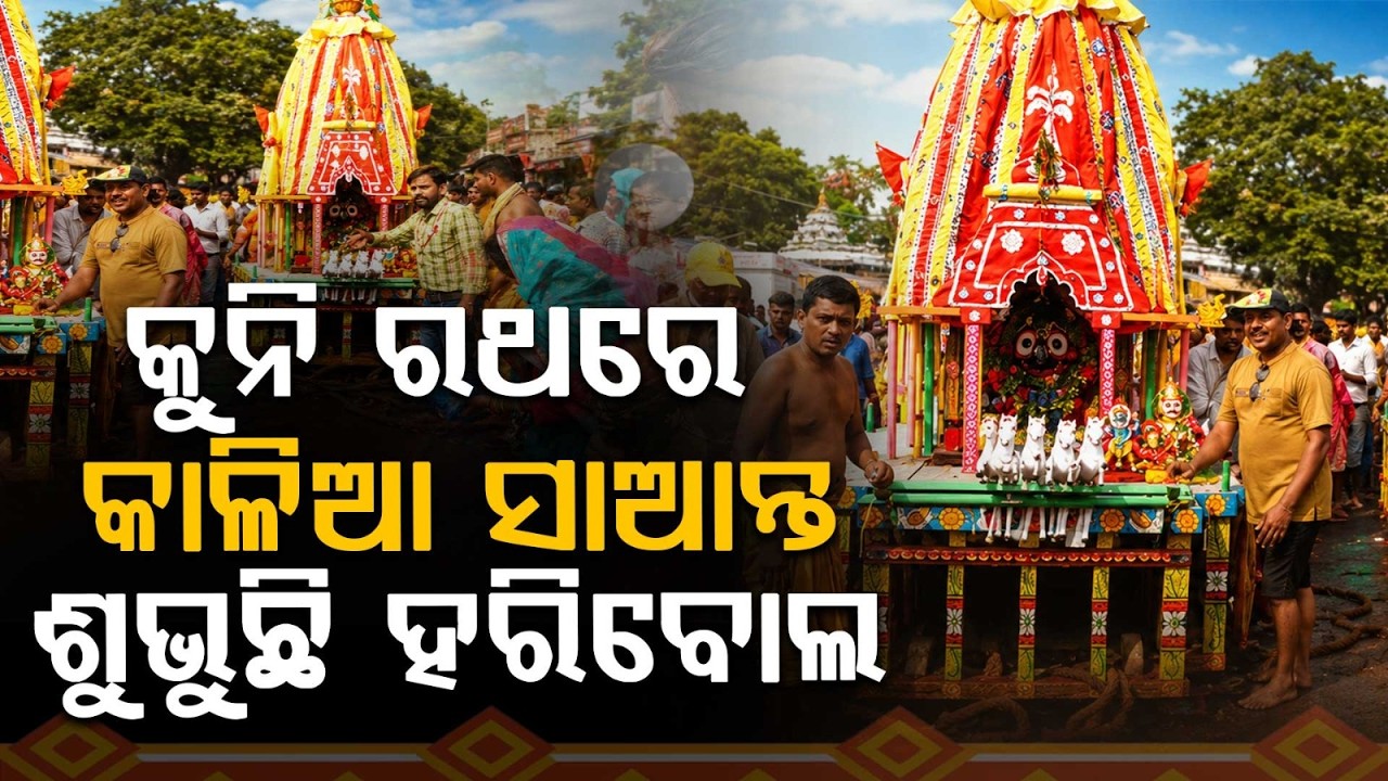 Mini Nandighosa Chariot At Saradhabali Attracts Thousands Of Devotees | Argus News