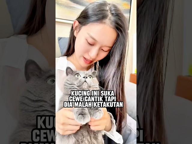 Kucing ketakutan karena lihat orang kembar