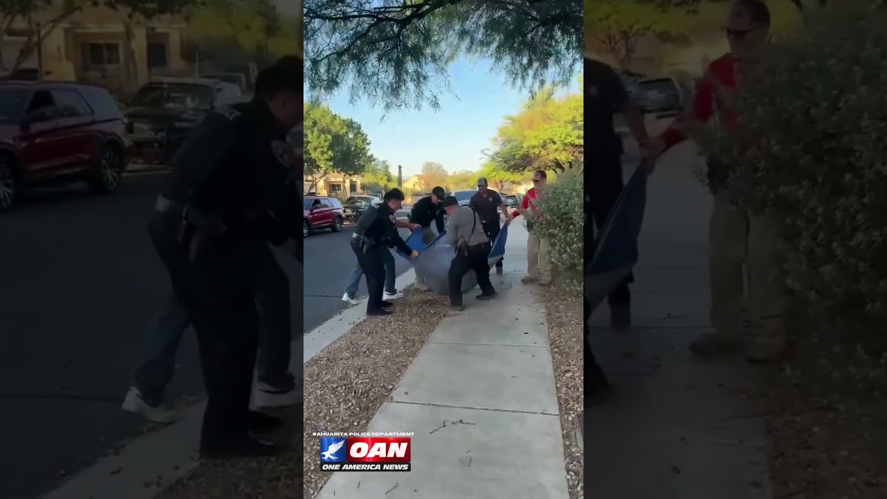The Sahuarita Police Department has rescued a bear that had been tranquilized