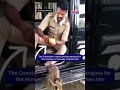 Constable feeds mango to Monkey, video goes viral
