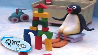 Pingu sa hr