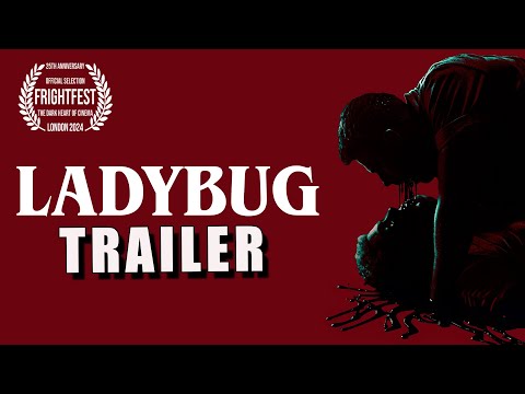Ladybug'