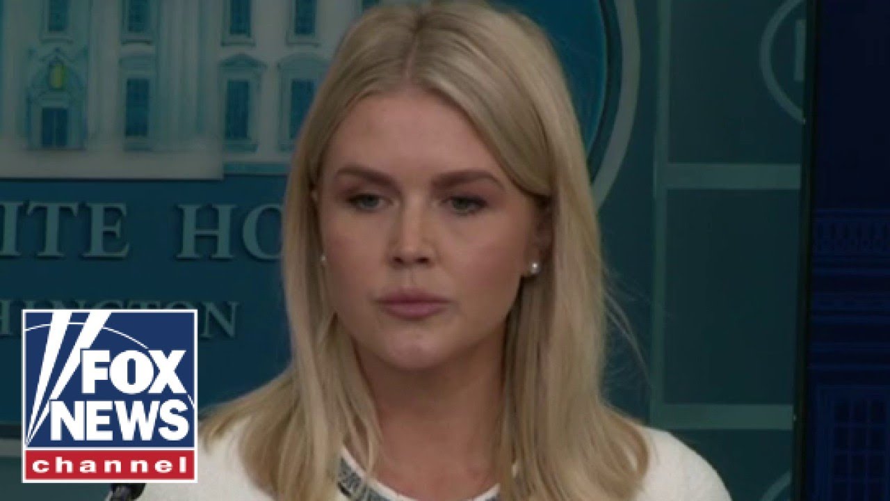 Leavitt: Democrats never did a 'dang thing' about the Epstein case