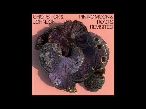 Chopstick & Johnjon - Roots (Sasse Remix)