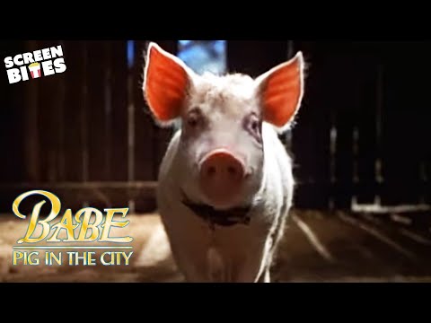 Babe: Pig in the City'