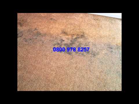 Peter Thomas Carpet Cleaning 0800 978 8257 - Kensington