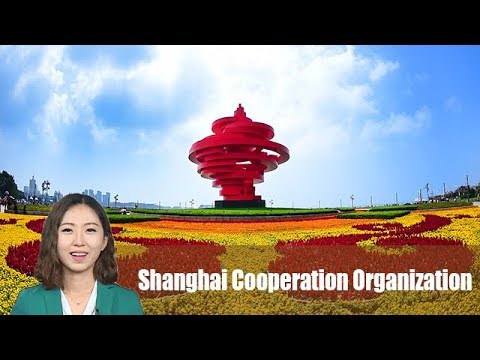 Qingdao: A thriving coastal city Qingdao: A thriving coastal city