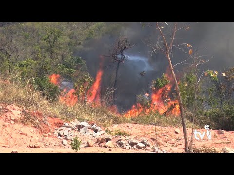 Vídeo: Governo de Minas reforça medidas de combate aos incêndios florestais