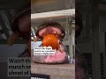 Watch this hippo at Ohio’s Toledo Zoo munch on a pumpkin ahead of Halloween  - 00:15 min - News - Video