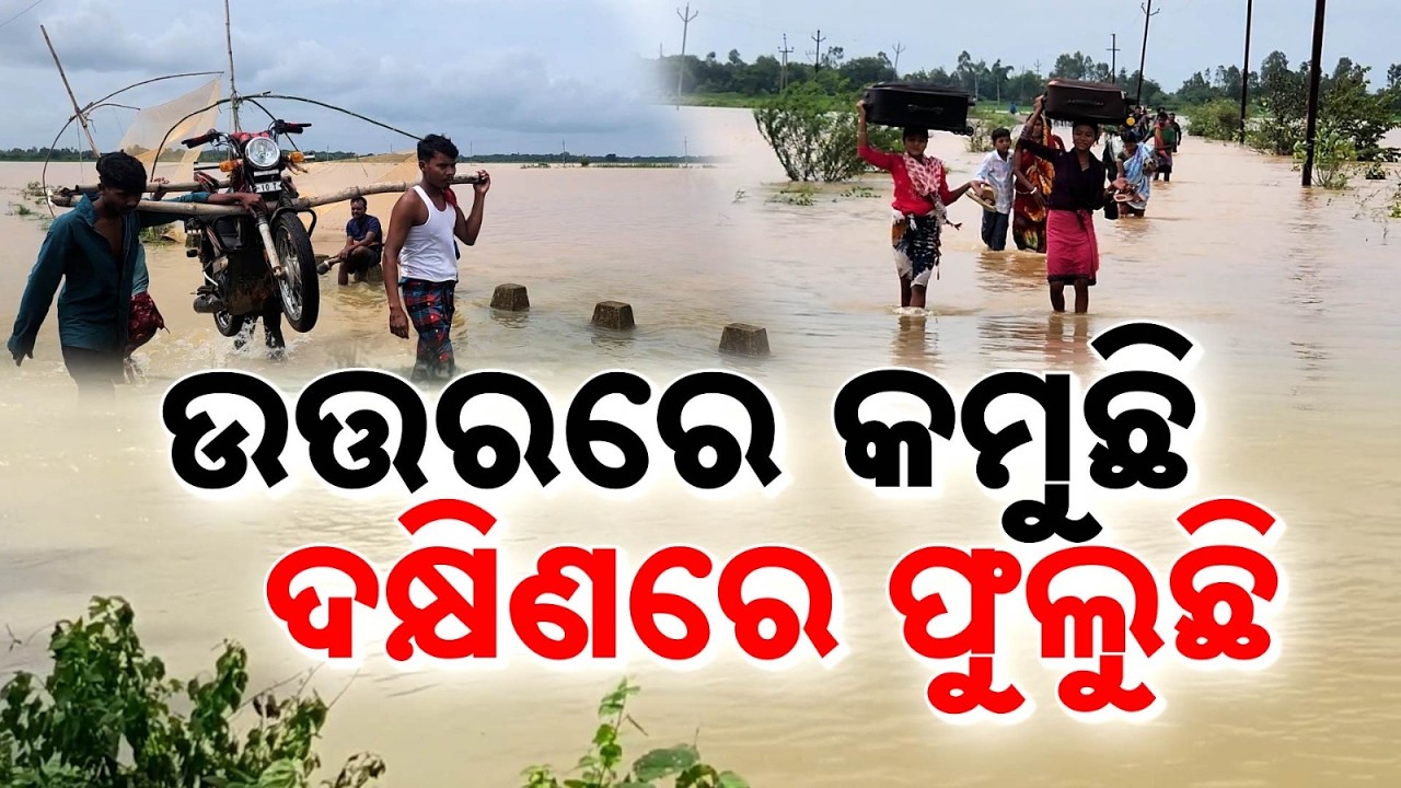 Odisha Flood Situation: North To South Under Water | Crops Destroyed | New Rain Alert | Argus News