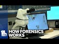 Police forensics team shows how it processes evidence