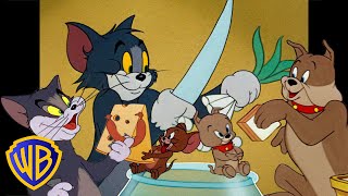 Tom a Jerry - rodinné oslavy