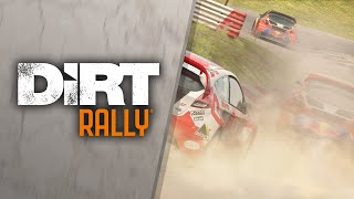 DiRT Rally - Disponibile adesso anche per PS VR