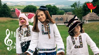 Pesniky Lky a vlka - Bodrk a kamarti