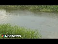Missing Texas womans body found in alligators mouth