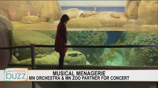 Minnesota Orchestra partners with the Minnesota Zoo for a wild concert | FOX 9 Morning News