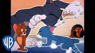 Tom a Jerry - honičky