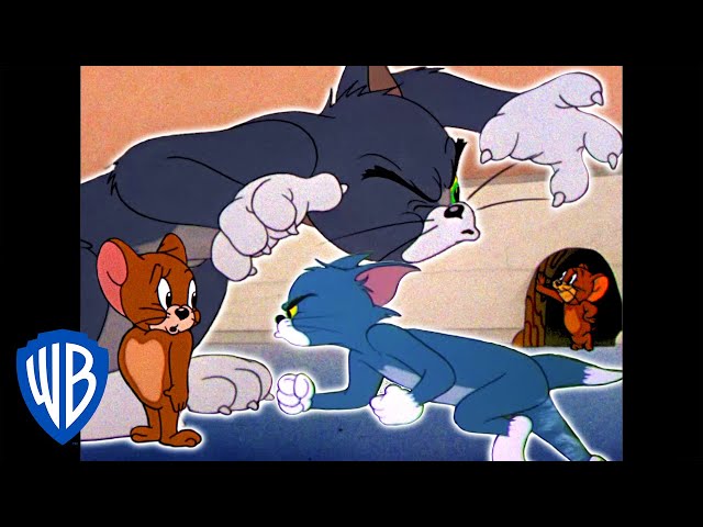 Tom & Jerry | All That Chase! | Classic Cartoon Compilation | WB Kids