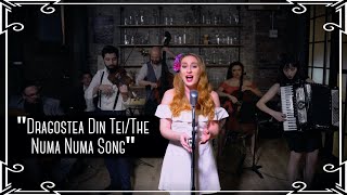 O-Zone - Dragostea Din Tei (Romanian Folk Cover by Robyn Adele Anderson)