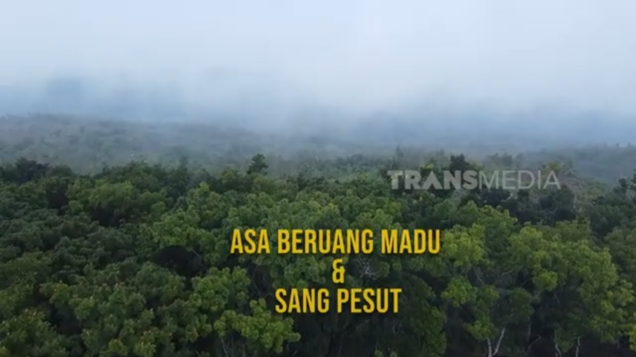 Asa Beruang Madu & Sang Pesut | SI OTAN (15/08/24)