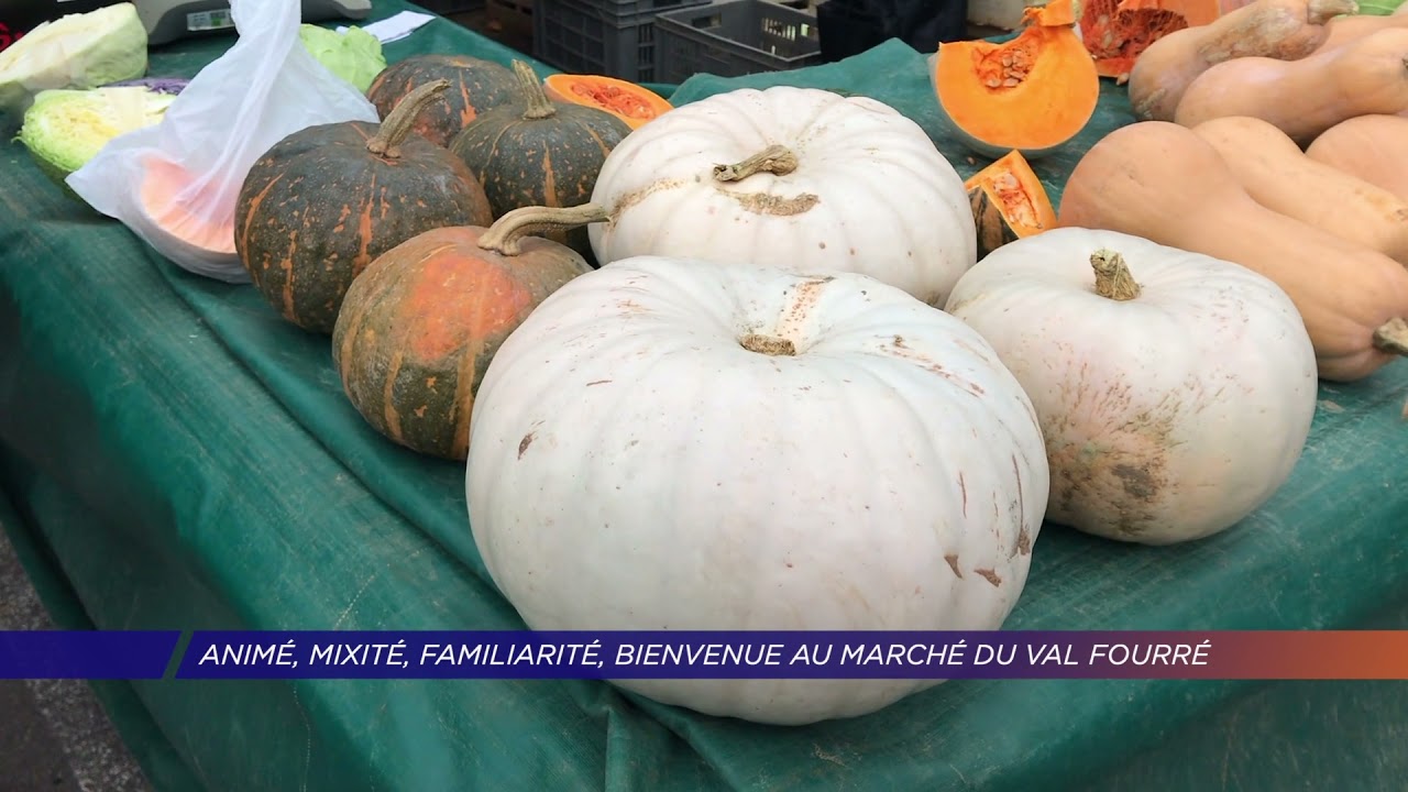 Yvelines | Animé, mixité, familiarité, bienvenue au marché du Val Fourré