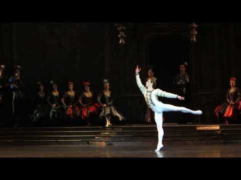 Sergei Polunin, Natalia Somova - Swan Lake (10)