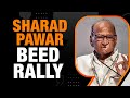 NCP Chief Sharad Pawar Rally In Beed | Nephew Ajit Welcomes Sharad Pawar With Posters | News9