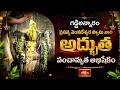 కన్నులపండువగా శ్రీ అలవేలుమంగా సమేత ప్రసన్న వెంకటేశ్వర స్వామి వారి పంచామృతాభిషేకం | Gaddiannaram