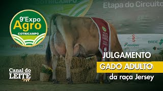 Expoagro Cotricampo 2025 - Julgamento do Gado Adulto da Raça Jersey