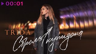 TRIDA — Стрелы Купидона | Official Audio | 2023