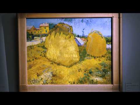 Van Gogh, een kleurrijk portret'