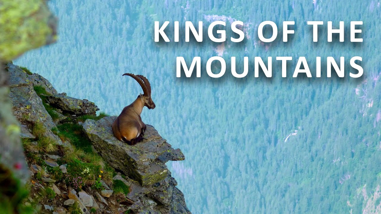 The Mountain Silent Valley Of The South | Untamed Switzerland | Documentary