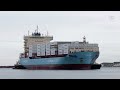 Maersk warns on profits amid Red Sea crisis | REUTERS  - 01:14 min - News - Video