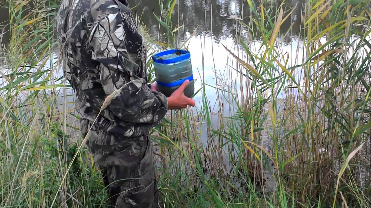 Как перевозить живца на рыбалку Как перевозить живца на рыбалку