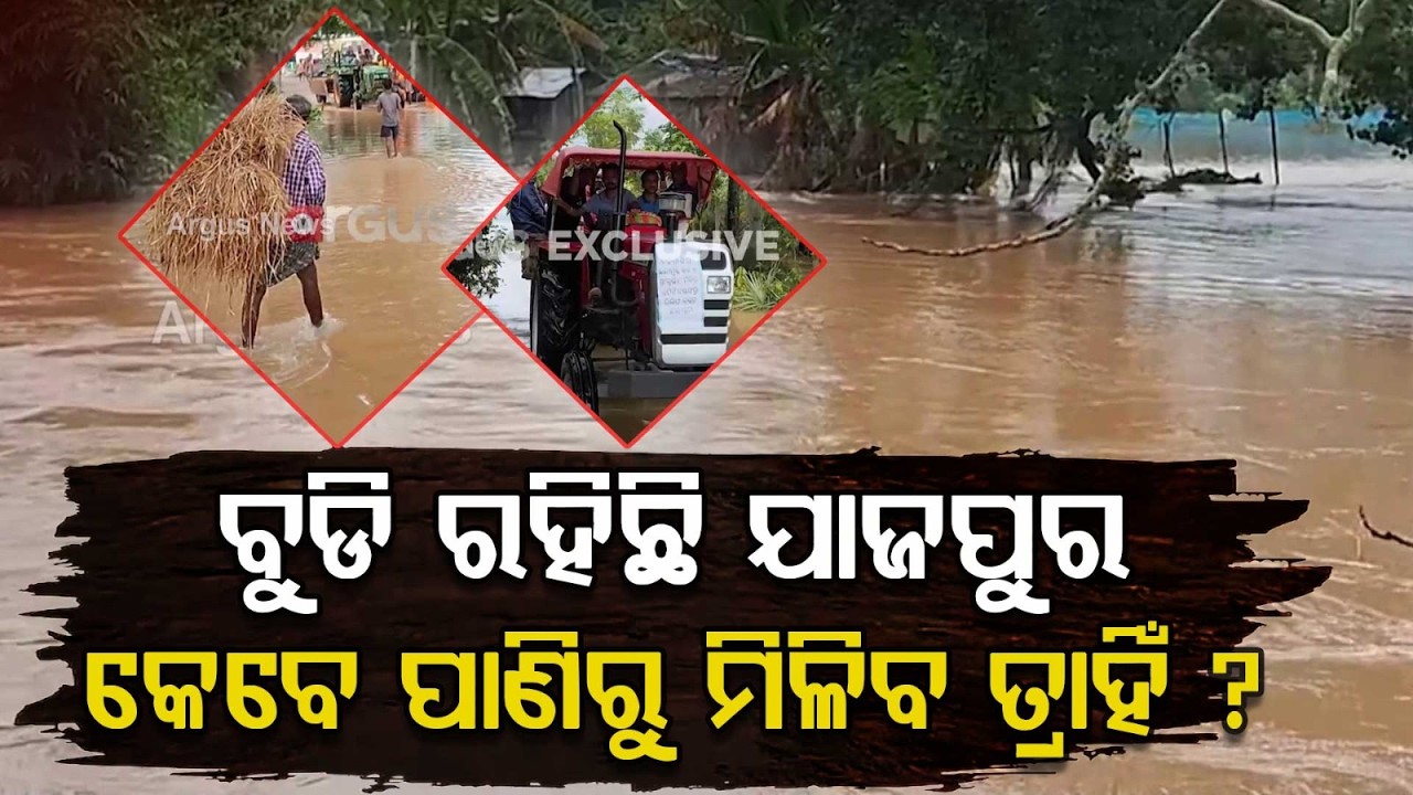 ବୁଡି ରହିଛି ଯାଜପୁର | Jajpur Flood | Baitarani | Kharasrota | CropLoss | Odisha Rain | Argus News