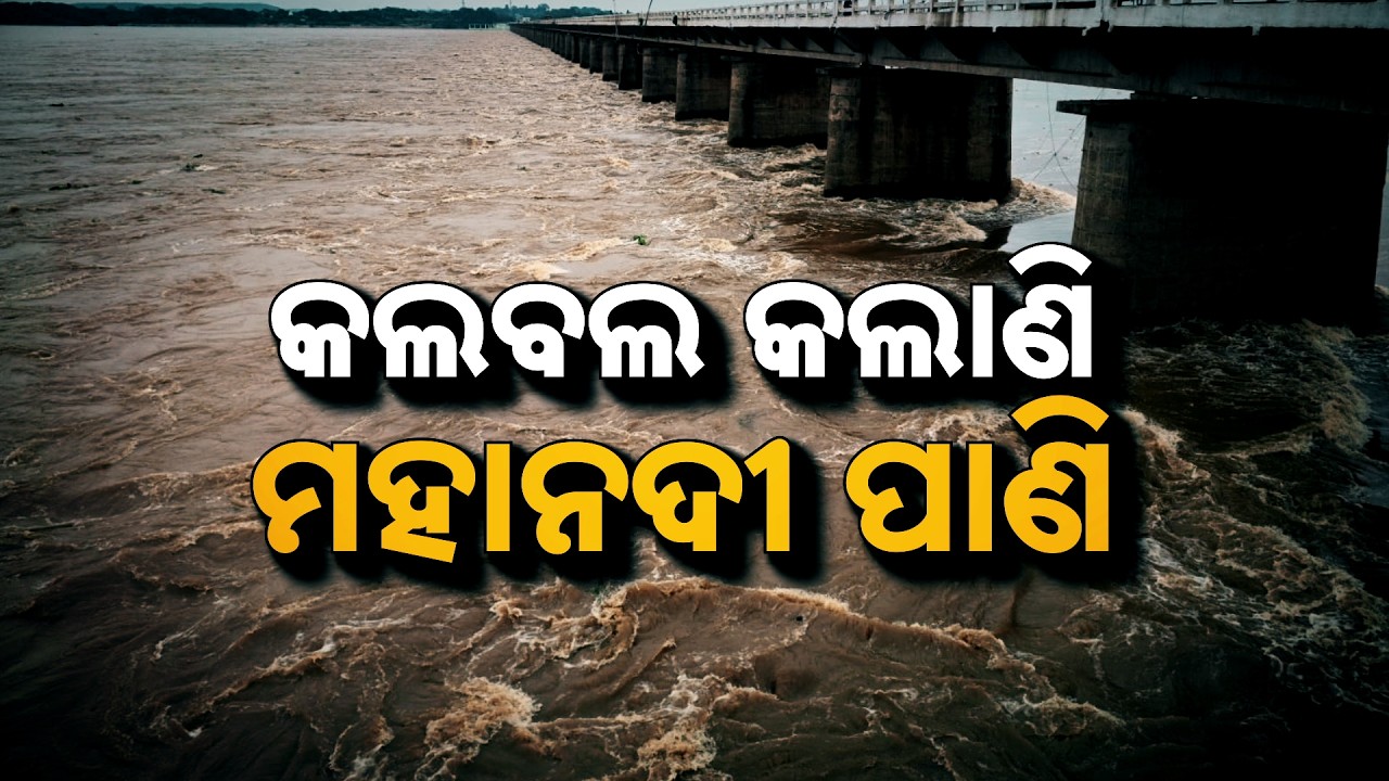 🔴Live | କଲବଲ କଲାଣି ମହାନଦୀ ପାଣି | Mahanadi Flood Threat Rises As Water Level Swells In Odisha