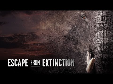 Escape from Extinction'